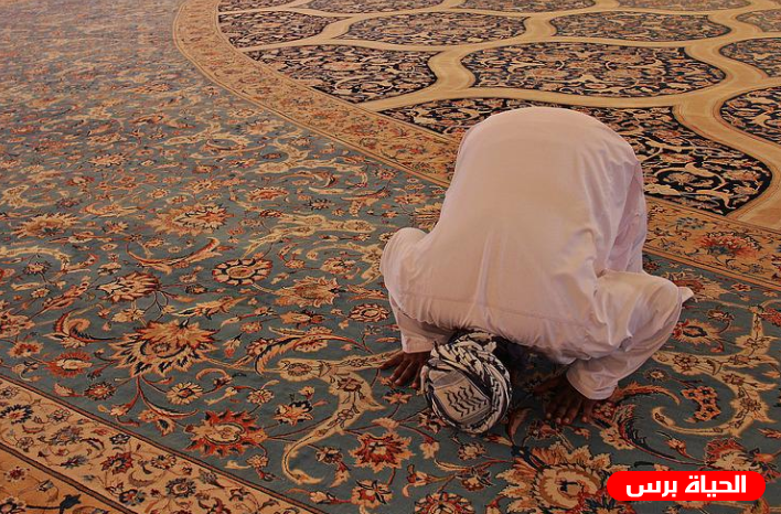  صلاة القيام كم ركعه